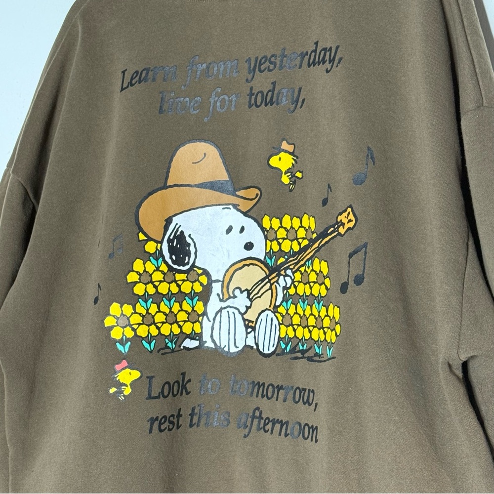 Peanuts Snoopy on Banjo Brown Hoodie Size XL Fleece Lined Athleisure Loungewear - Picture 5 of 9